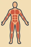 Weekly Training Plans for Optimal Fat Burning