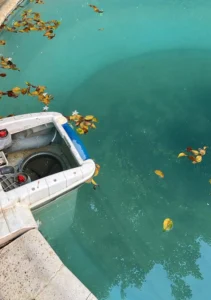 حل مشكلة المياه الخضراء